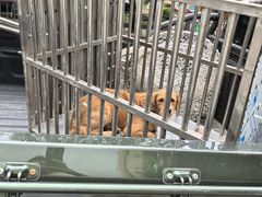 -长兴菜馆(高桥店)