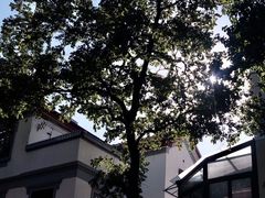 -Radar Coffee(思南路店)