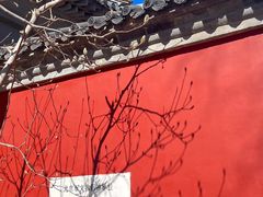 -红螺寺