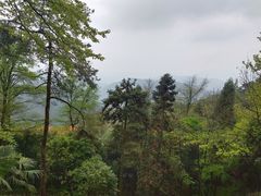 -莫干山风景区