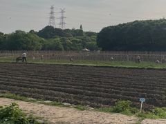 -八卦田遗址公园