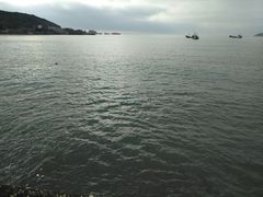 -枸杞岛