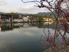 -缘来聚·徽菜名店(黄山宏村店)