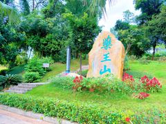-广东中医药博物馆