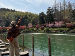 -冶父山国家森林公园