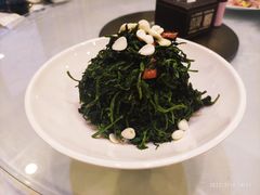 凉拌枸杞芽-京天红酒家(马家堡店)