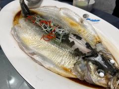 清蒸大白刁-黄鹤楼湖北特色菜(高碑店)