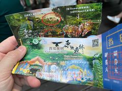 -西双版纳原始森林公园