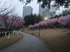 -沐仙湖湿地公园