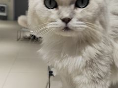 -怪兽屋·羊驼·猫咖·狗咖(俊华广场店)