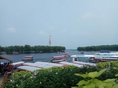 -白洋淀景区