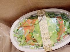 -油梨树AVOCADO TREE(顺义新国展店)