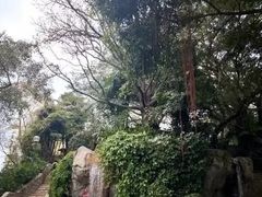 -九龙公园