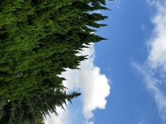 -上海市龙华烈士陵园