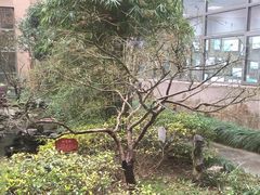 -上海交通大学医学院附属仁济医院(南院)