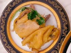 -福孕妈妈家政•月嫂育儿嫂保姆