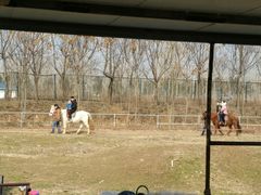 -宿豫区运河湾森林动物园