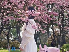 -南山植物园