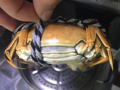 -喜洋洋蟹庄(阳澄湖店)