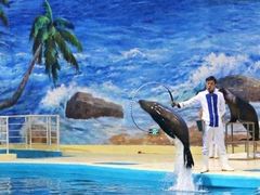 -福州罗源湾海洋世界旅游区