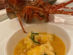 花胶龙虾浓鸡汤-宝丽轩中餐厅BAOLIXUAN
