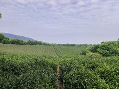 -敬亭山风景名胜区