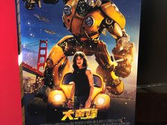 -大光明丽星VIP影城(昌里路杜比全景声店)