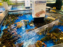 水产区-盒马鲜生(和谐广场店)