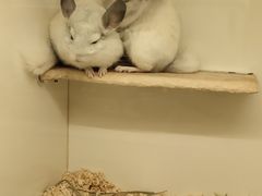 -龙猫仔乐园(惠福东路店)