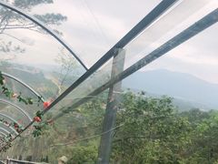 -牛鱼嘴原始生态风景区