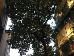 -徐家汇源景区-衡山坊