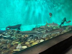 -太平洋海底世界