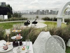 -Blue Concept Cafe&Farm·關於藍