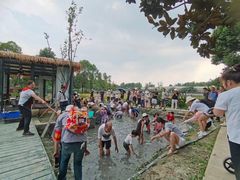 -洪湖家庭农场·团建·露营·会议