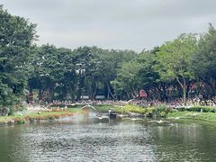 -广州长隆飞鸟乐园