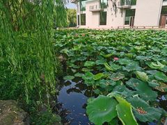 -绍兴鉴湖君澜大酒店