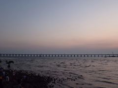 -宝安西湾红树林湿地公园