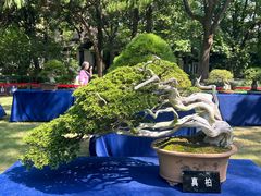 -汇龙潭