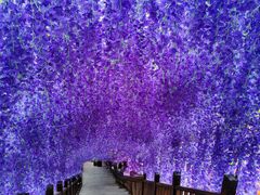 -沕沕水生态风景区