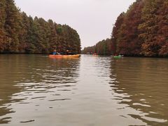 -上海海湾国家森林公园