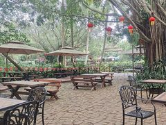 -海南热带野生动植物园