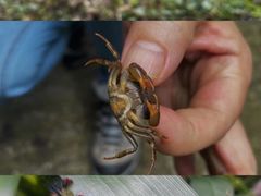 -西岭雪山大飞水景区