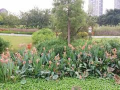 -那考河湿地公园