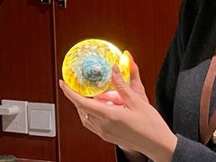 -青岛贝壳博物馆