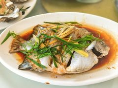 清蒸金鼓鱼-八方海味餐厅