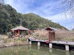 -天芳悦潭度假村温泉