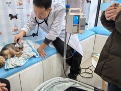 -守诺宠物医院·眼科· 神经外科·爬宠专科(虹口店)