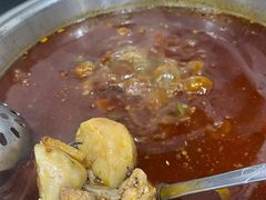 排骨-水碾河肥兔火锅(水碾河店)