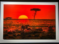 -罗红摄影艺术馆