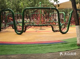 这里有各种小动物，宝宝可以和鹦鹉互动